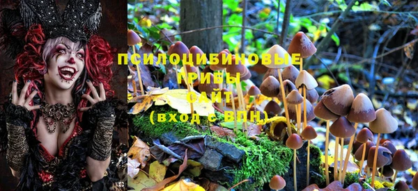 стафф Балабаново
