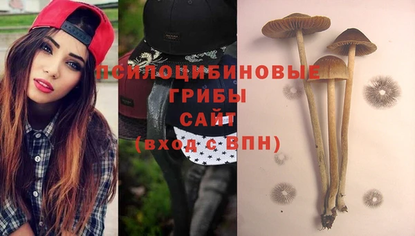 стафф Балабаново