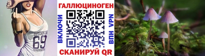 мега онион  Гудермес  Галлюциногенные грибы прущие грибы 