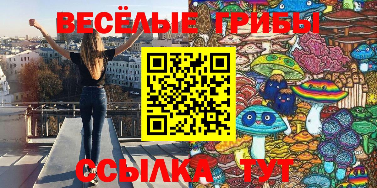 Гудермес  Псилоцибиновые грибы Magic Shrooms  Псилоцибиновые грибы Cubensis  Вход с VPN 