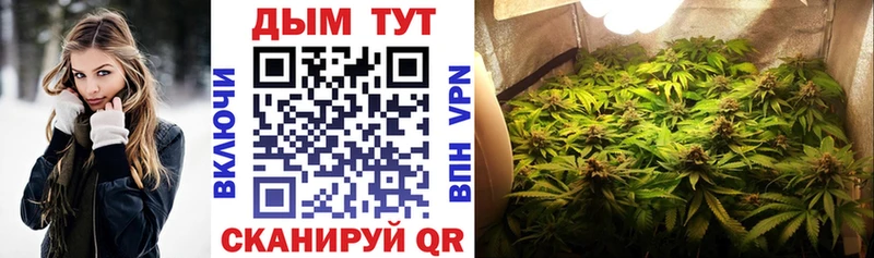 Бошки марихуана индика Гудермес